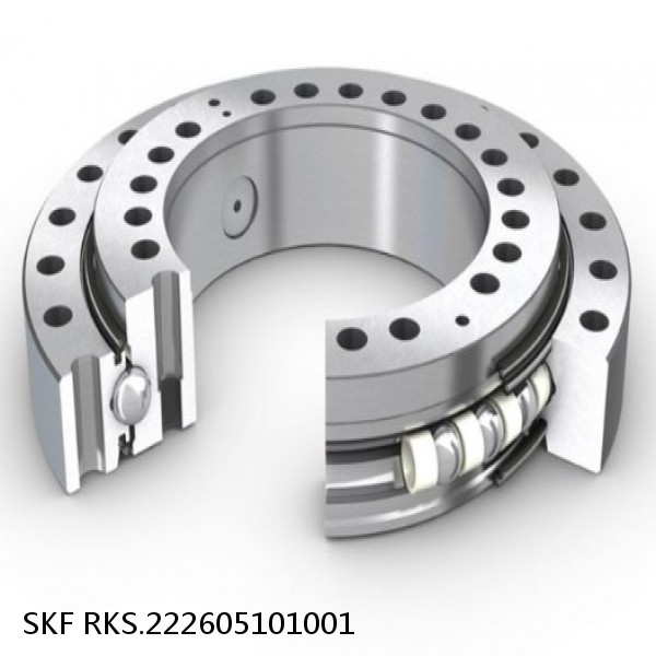 RKS.222605101001 SKF Slewing Ring Bearings