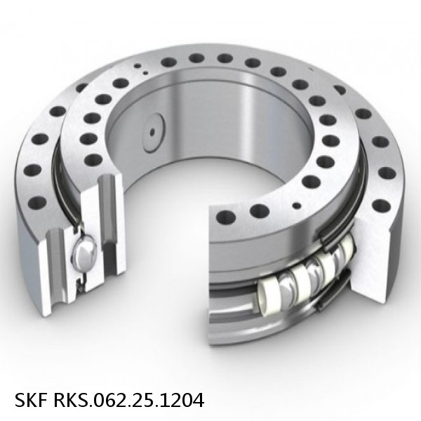 RKS.062.25.1204 SKF Slewing Ring Bearings