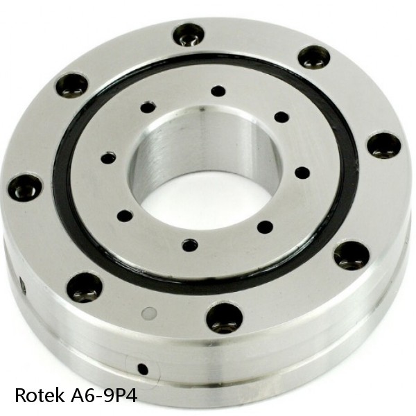 A6-9P4 Rotek Slewing Ring Bearings