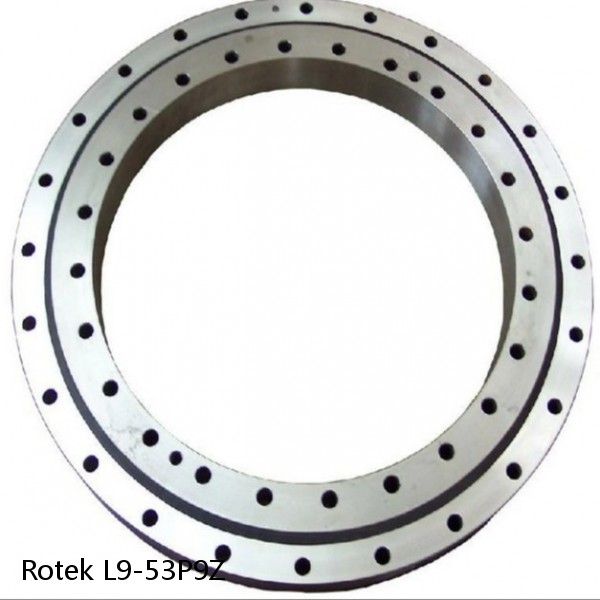 L9-53P9Z Rotek Slewing Ring Bearings