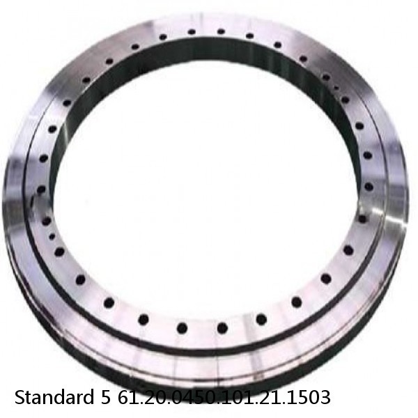 61.20.0450.101.21.1503 Standard 5 Slewing Ring Bearings