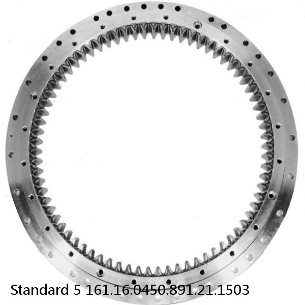 161.16.0450.891.21.1503 Standard 5 Slewing Ring Bearings