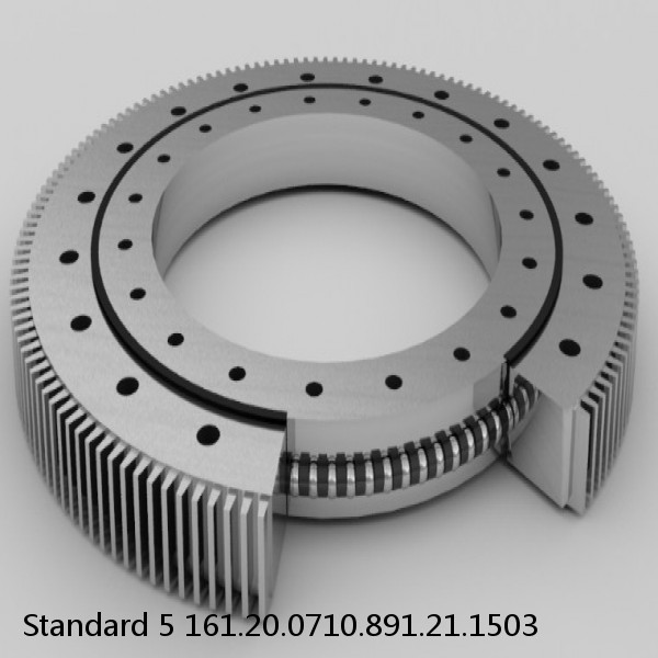 161.20.0710.891.21.1503 Standard 5 Slewing Ring Bearings