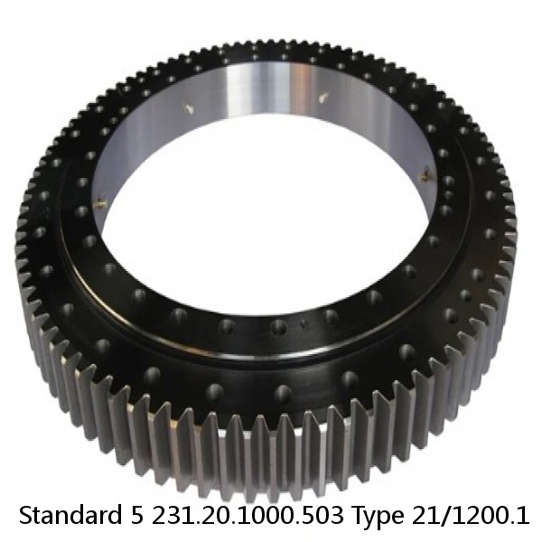 231.20.1000.503 Type 21/1200.1 Standard 5 Slewing Ring Bearings