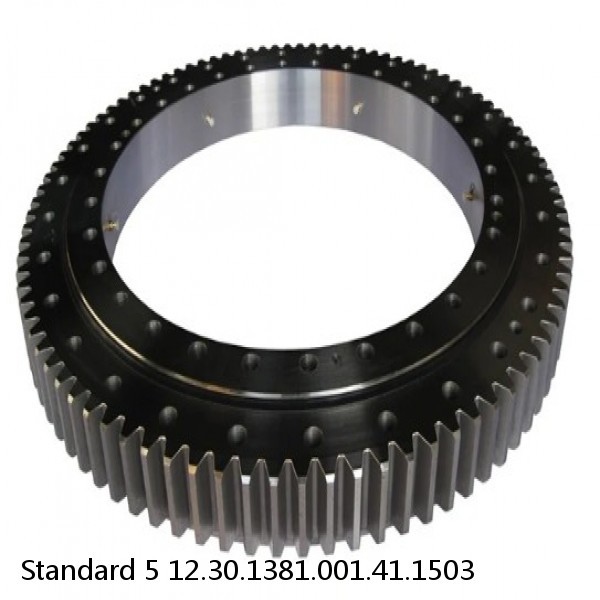 12.30.1381.001.41.1503 Standard 5 Slewing Ring Bearings