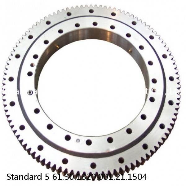 61.30.1320.001.21.1504 Standard 5 Slewing Ring Bearings