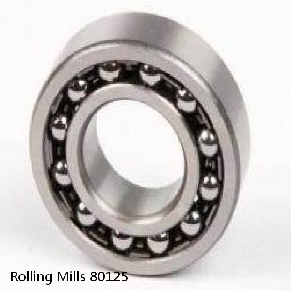 80125 Rolling Mills Sealed spherical roller bearings continuous casting plants