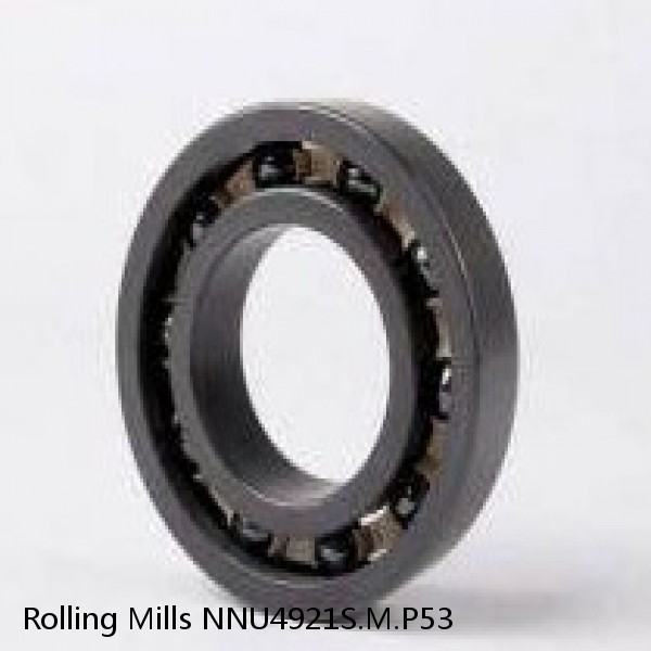 NNU4921S.M.P53 Rolling Mills Sealed spherical roller bearings continuous casting plants