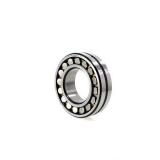 100 mm x 160 mm x 61 mm  FAG 801215a Bearing